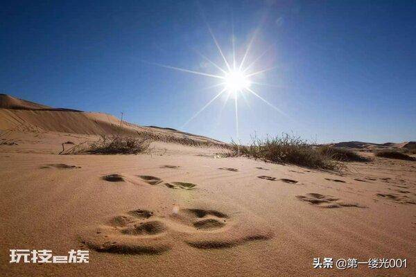 撒哈拉大沙漠在哪里(撒哈拉沙漠地区的地理位置情况)-图片3